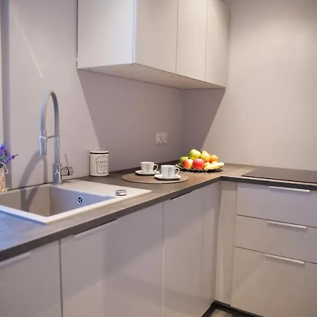 Apartament Przy Plazy * 索波特