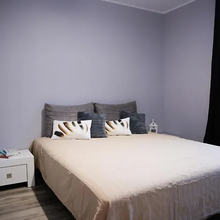 公寓 Apartament Przy Plazy 索波特